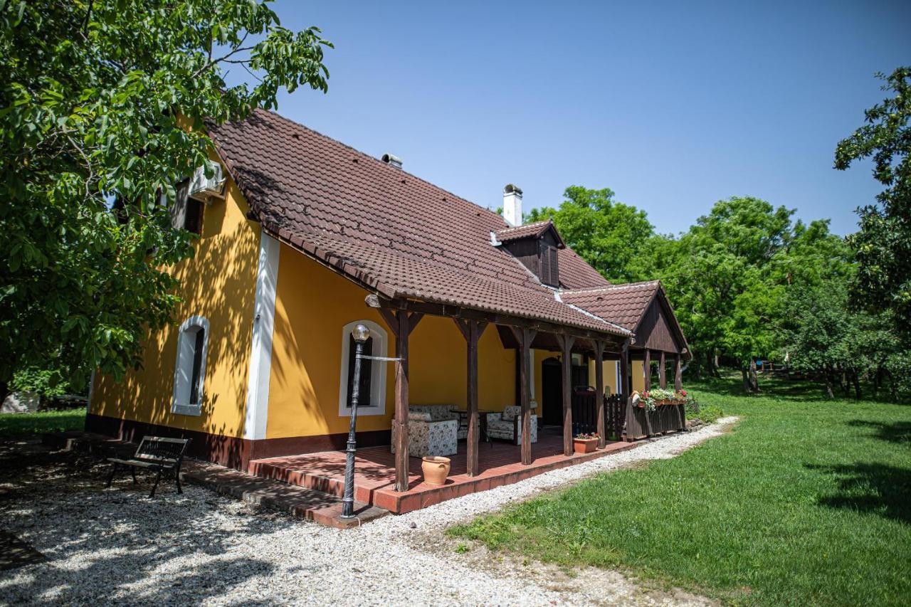 MindszentkállaTusculanum Panzio住宿加早餐旅馆 外观 照片